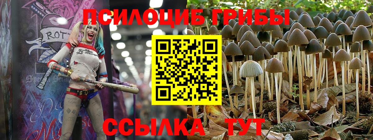 Галлюциногенные грибы прущие грибы Реж